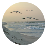 DAROUND 126 Going Home (Seascape)